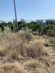 ������ ������� � ����� ������ ���� 8