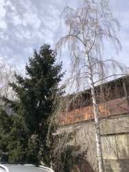 В продаже участок под жилую застройку в черте города фото 6 В продаже участок под жилую застройку в черте города фото 6