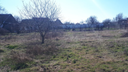 Продажа участка Малодолинское фото 2 Продажа участка Малодолинское фото 2