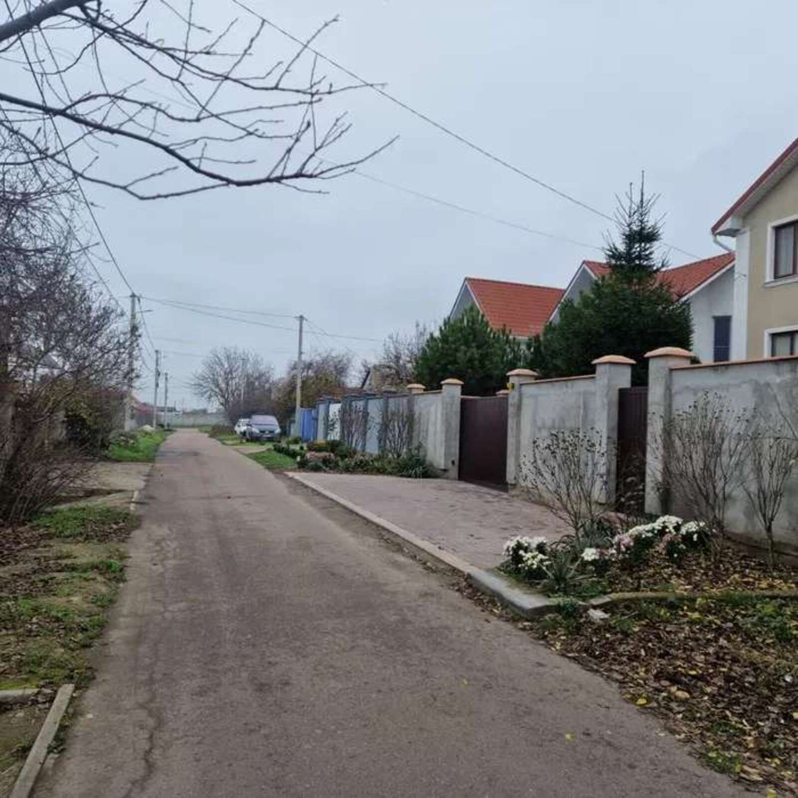 ĳ����� �� 7,7 ������ ���� 1