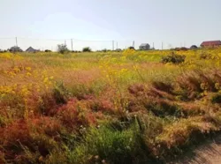 Ділянку 10 соток у с. Нова Дофінівка за 10 хвилин від моря! фото 2 Ділянку 10 соток у с. Нова Дофінівка за 10 хвилин від моря! фото 2