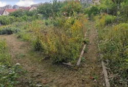 Вибирай найкраще- ділянку землі під забудову. фото 5 Вибирай найкраще- ділянку землі під забудову. фото 5