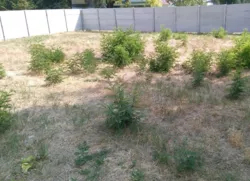 ĳ����� � ���������� ������ �����������! ���� 1