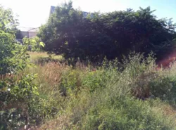 ��������� ������ ����������, �����, �������, �������� ���� 5