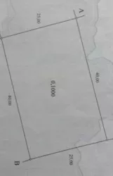 ���� ������������ ����! ���� 4