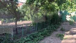 ĳ����� �� 7,7 ������ ���� 4