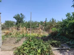 ��������� ������ �����������, �����, �������, �������� ���� 7