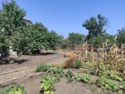 ��������� ������ �����������, �����, �������, �������� ���� 12