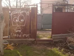 Ділянка в садовому кооперативі Світанок, розташована в селищі Світле фото 1 Ділянка в садовому кооперативі Світанок, розташована в селищі Світле фото 1