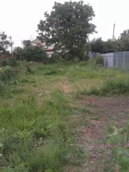 Ділянка в Олександівці фото 1 Ділянка в Олександівці фото 1