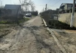 Ділянка у с. Світле фото 4 Ділянка у с. Світле фото 4