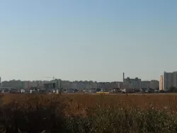������ ������ ������������ ����������� �� �������� ���� 1