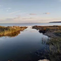 ������ ������ ��� ���� � ����� �������� �� �������������! ���� 12