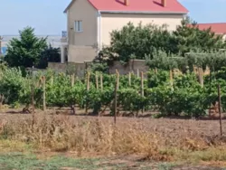 ������ ������ ����� ������� �� ������� �������� � ���������� �������! ����� ��������� ���� 2