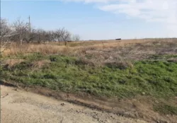 Ділянка у с. Світле фото 5 Ділянка у с. Світле фото 5