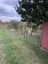 Пропонуємо чудову ділянку біля моря в смт Чорноморське. фото 6 Пропонуємо чудову ділянку біля моря в смт Чорноморське. фото 6