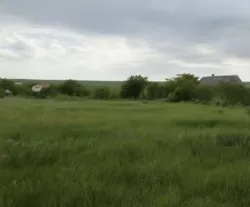 �������� ������ ��� �����, �. ������������� (���������������) ���� 7