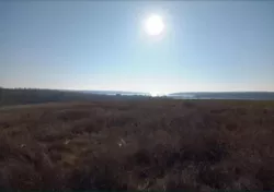 Ділянка в Олександрівці фото 1 Ділянка в Олександрівці фото 1