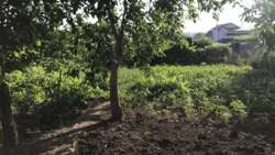 ĳ����� �� 7,7 ������ ���� 5