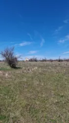 ĳ����� �� �������� �.����������.�������� ����! ���� 6