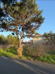 ijëÿíêà 9,3 ñîòêè ó ñ. ˳ñêè! ÌÎÐÑÜÊÀ ÑÒÎÐÎÍÀ! ôîòî 3 ijëÿíêà 9,3 ñîòêè ó ñ. ˳ñêè! ÌÎÐÑÜÊÀ ÑÒÎÐÎÍÀ! ôîòî 3