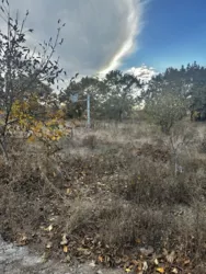 Ділянка в Лісках фото 3 Ділянка в Лісках фото 3