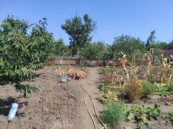 ��������� �������� ������ 4,5 ����� �� ������ ���� (����������) ���� 11