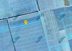 ĳ����� 8,5 ����� � �. ��������! ����� ����! ���� 4