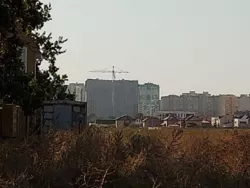 ������ ������ ������������ ����������� �� �������� ���� 7