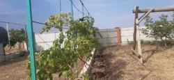 Ділянка 10 соток. Світло та вода заведені на ділянку, вулиця забудовується. Кутовий двосторонній. фото 8 Ділянка 10 соток. Світло та вода заведені на ділянку, вулиця забудовується. Кутовий двосторонній. фото 8