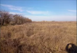 Ділянка в Олександрівці фото 3 Ділянка в Олександрівці фото 3