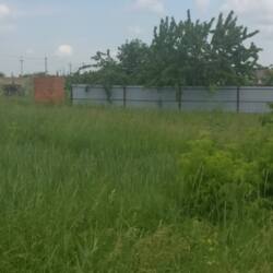 ��������� ������ ҳ����� ���., ��������, ����������, ������� ���� 1