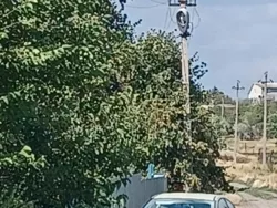 ������ ������ ����� ������� �� ������� �������� � ���������� �������! ����� ��������� ���� 12