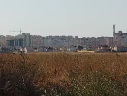 ������ ������ ������������ ����������� �� �������� ���� 6