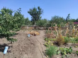 ��������� ������ �����������, �����, �������, �������� ���� 11