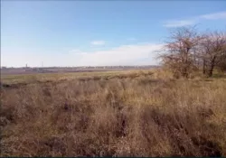 Ділянка в Олександрівці фото 4 Ділянка в Олександрівці фото 4