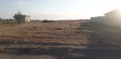 Ділянка 10 соток під будівництво житлового будинку, господарчих будівель і споруд фото 3 Ділянка 10 соток під будівництво житлового будинку, господарчих будівель і споруд фото 3
