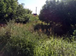 ��������� ������ ����������, �����, �������, �������� ���� 6