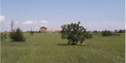 �����������, ������ ��� � ��������� ������������ ������. ����������� ����� ���� 2