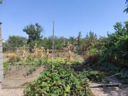 ��������� �������� ������ 4,5 ����� �� ������ ���� (����������) ���� 7