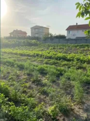 ������ ������ 12 ����� � ��������! ������ �� ���� �� �����! ���� 1