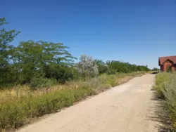 ������ ���, ������� ���, ������ �������� ���� 5