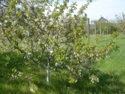 ��� ���������� ��ײ-�������� ���� ! ���� 1