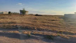 Ділянка 10 соток під будівництво житлового будинку, господарчих будівель і споруд фото 4 Ділянка 10 соток під будівництво житлового будинку, господарчих будівель і споруд фото 4