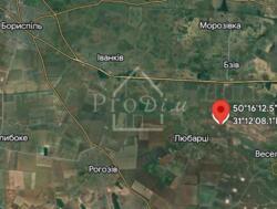 Продаж земельної ділянки 1га с. Любарці, Бориспільський р-н фото 2 Продаж земельної ділянки 1га с. Любарці, Бориспільський р-н фото 2