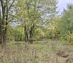 ������ ������ �� �������� ��� ��� 25 ��� ��������� ������� ���� 1