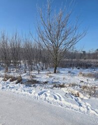 Продаж земельної ділянки сільськогосподарського призначення на с. Бохоники, житловий масив «Поляна, площа 4 сотки фото 4 Продаж земельної ділянки сільськогосподарського призначення на с. Бохоники, житловий масив «Поляна, площа 4 сотки фото 4
