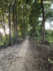 Продаж земельної ділянки під житлову забудову на вул. Верлана, площа 5 соток фото 2 Продаж земельної ділянки під житлову забудову на вул. Верлана, площа 5 соток фото 2