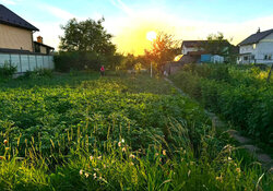 Продаж земельної ділянки під житлову забудову фото 6 Продаж земельної ділянки під житлову забудову фото 6