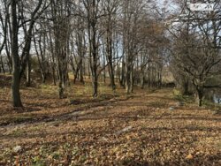 Продаж земельної ділянки під житлову забудову по вул. Чумацька, 111, площа 20 соток фото 3 Продаж земельної ділянки під житлову забудову по вул. Чумацька, 111, площа 20 соток фото 3